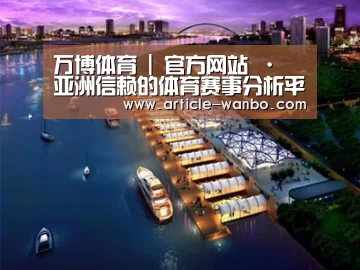 案例展示八